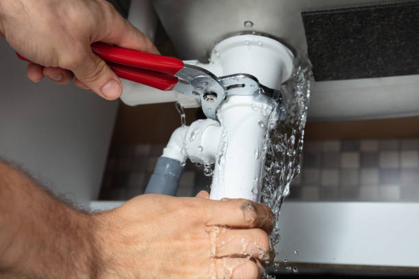 Best Flood damage cleanup  in Indian Head Park, IL