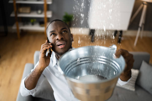 Best Emergency water extraction  in Indian Head Park, IL