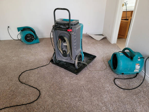 Best Water damage restoration near me  in Indian Head Park, IL