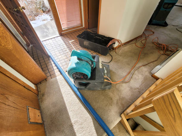 Best Carpet water damage restoration  in Indian Head Park, IL