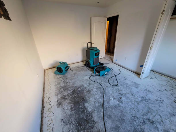 Best Water damage restoration near me  in Indian Head Park, IL