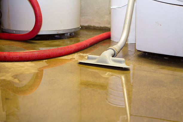 Best Commercial water damage restoration  in Indian Head Park, IL