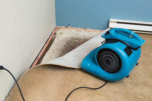 Best Ceiling water damage repair  in Indian Head Park, IL