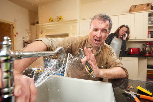 Best Water damage mitigation services  in Indian Head Park, IL